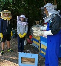 От пчелите Дадан-Блат до нанотехнологиите