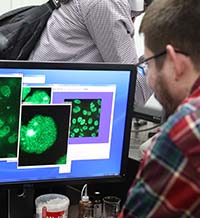 Изследваме как клетките се поправят сами