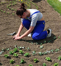 Красота, която респектира и възпитава