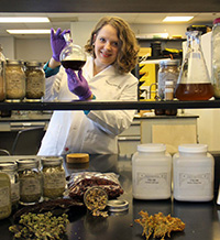 Природата е добър лечител