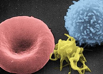 Гладът за кислород с Нобелова награда