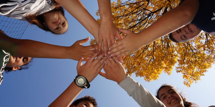 Между математиката  и кулинарните изкушения