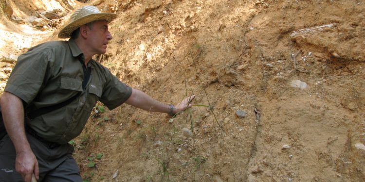 Грекопитекът е първият предчовек