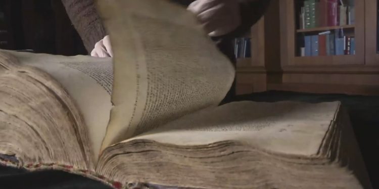 Признание за британски палеославист