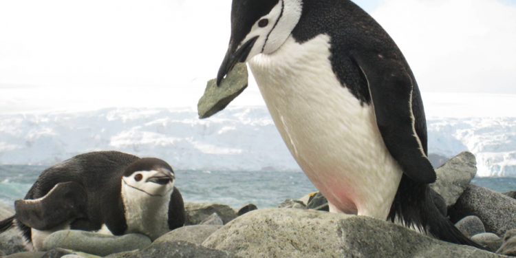 Нова лаборатория строим на Антарктида