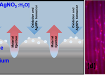 Биоразградима клетъчна матрица