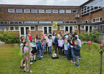 Български рози ще ухаят в Престън