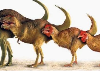 Колко бързо протича еволюцията