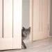 Защо котките мразят затворени врати