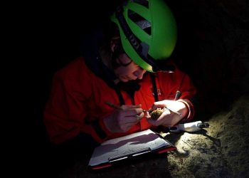 Прилепи нощници в Родопите