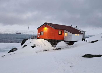 Антарктиците ни откриха новия полярен сезон