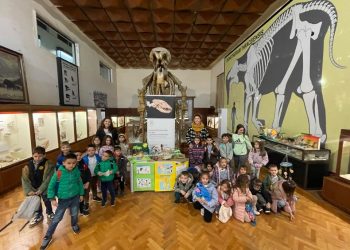 До Африка и назад